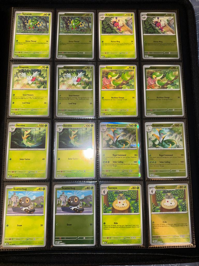 Perfect Order Complete Master Base Set (POR) Pokemon, Ophalen, Nieuw, Boek of Catalogus, Foil