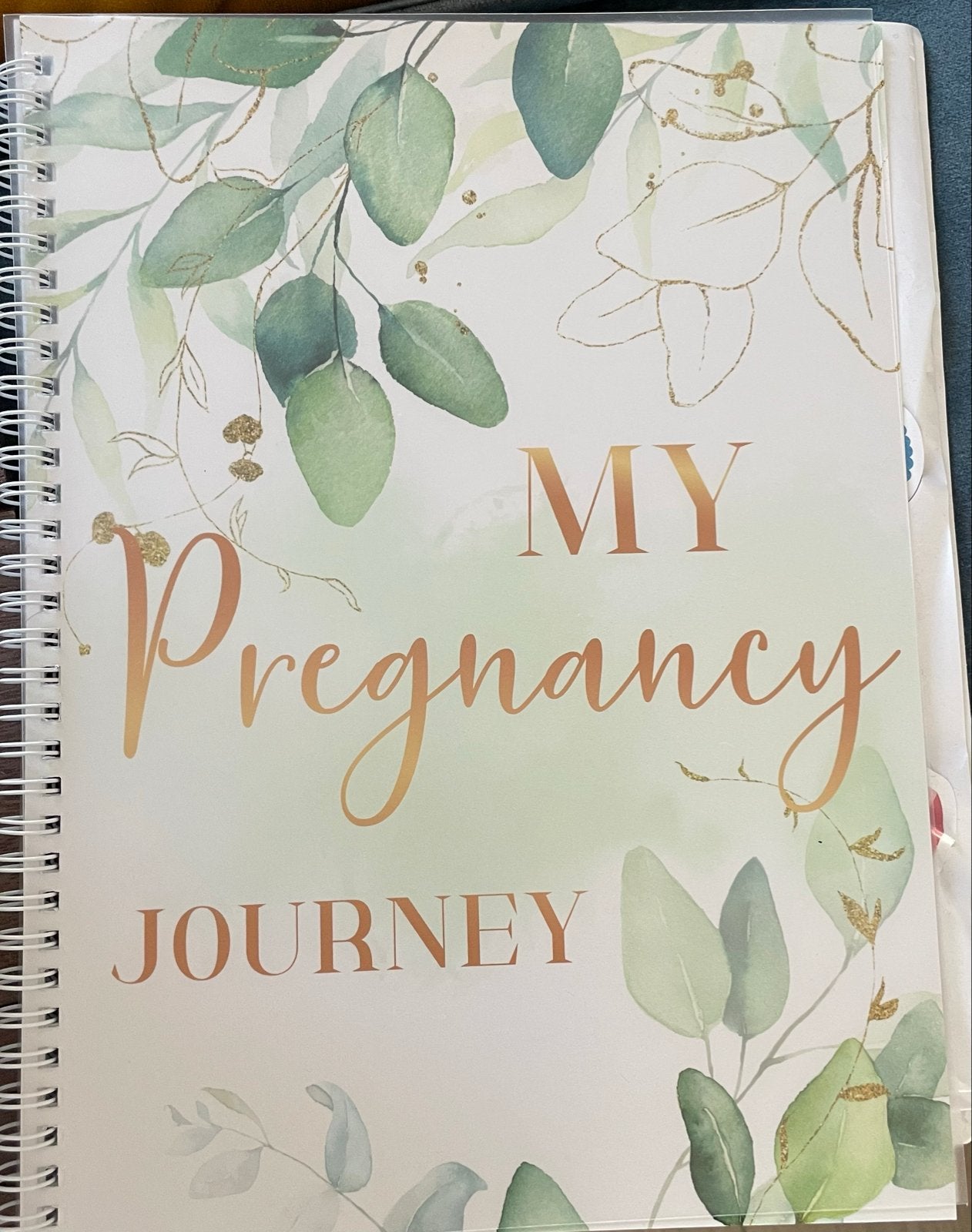 Mijn Zwangerschapsdagboek - My Pregnancy Journey, Boeken, Ophalen of Verzenden, Nieuw, Zwangerschap en Bevalling