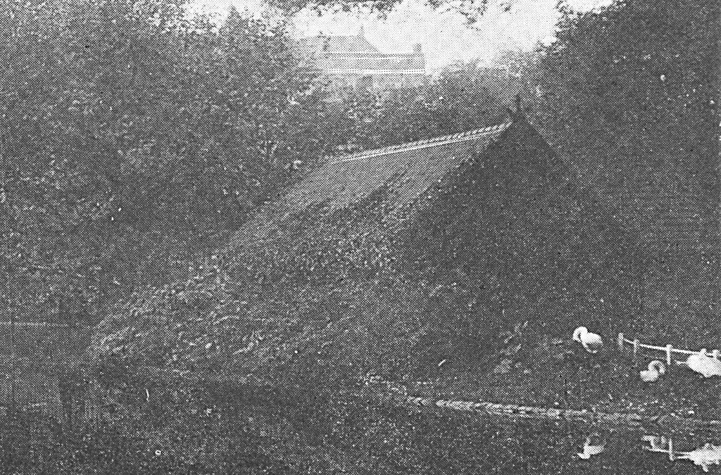 700341 Amsterdam Hortusplantsoen Begin vorige eeuw Gelopen, Ophalen of Verzenden, Voor 1920, Gelopen, Noord-Holland