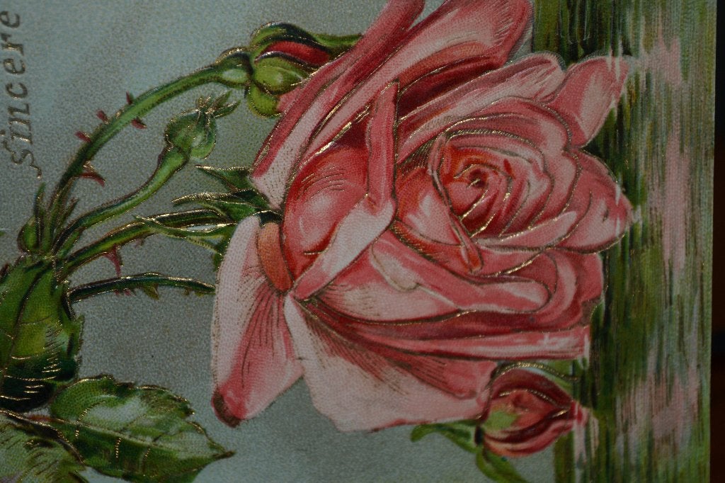 frankrijk relief 1908 tak rose roos, Ophalen of Verzenden, Voor 1920, Gelopen, Sterren en Beroemdheden