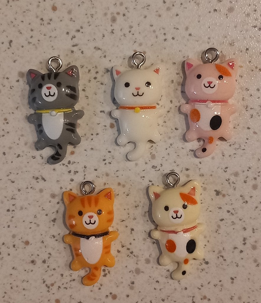 Katten bedels, Ophalen of Verzenden, Nieuw, Bedel