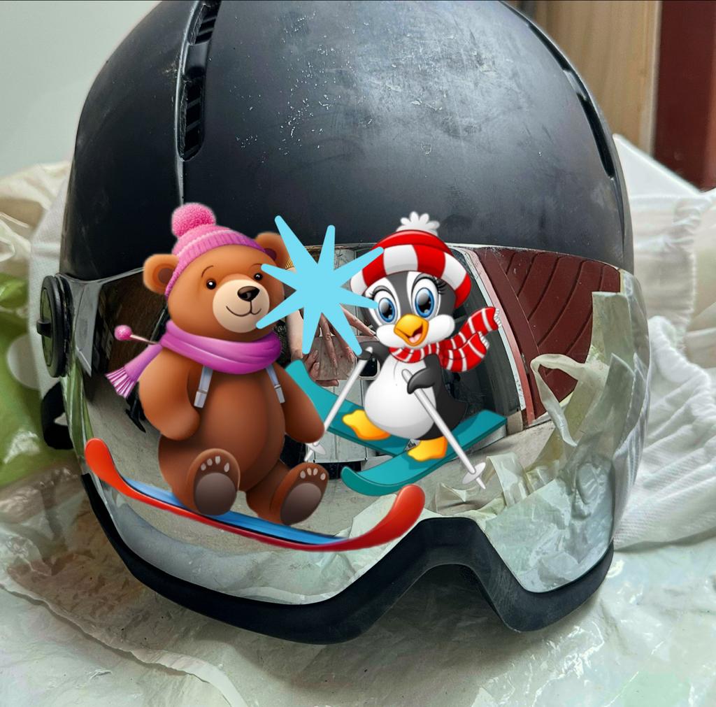Ski helm heren, Overige merken, Gebruikt, Overige typen, Ophalen of Verzenden