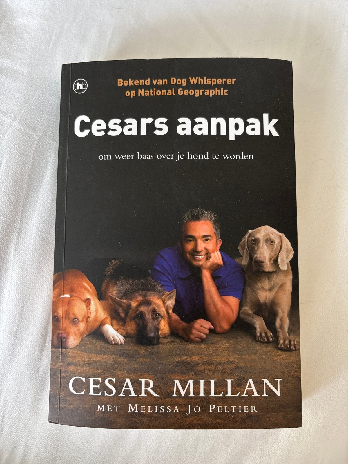 Cesar Millan - Cesars aanpak, Honden, Zo goed als nieuw, Cesar Millan, Ophalen of Verzenden