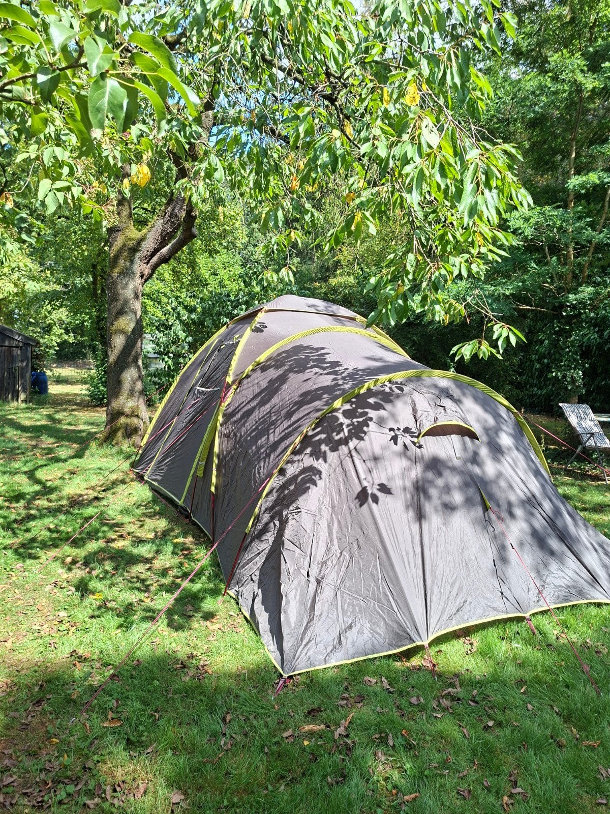 Wildebeast mt Chinamba tent (afh in Drenthe), Ophalen, Gebruikt, Tot en met 4