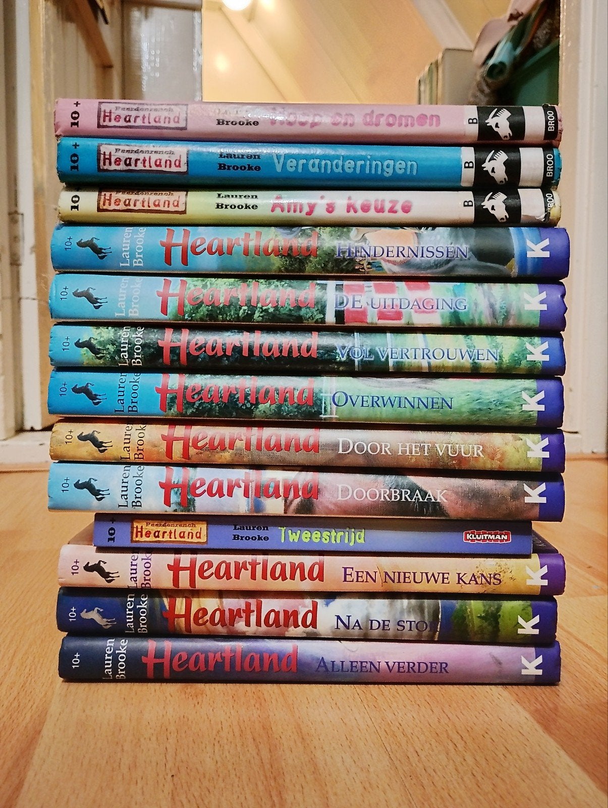 [ook los beschikbaar] Heartland boekenserie - Lauren Brooke, Verzenden, Gelezen, Lauren Brooke