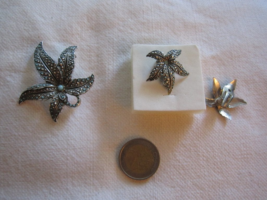 20.  Schitterend oud setje, broche + clipoorbellen, Ophalen, Overige materialen, Overige typen