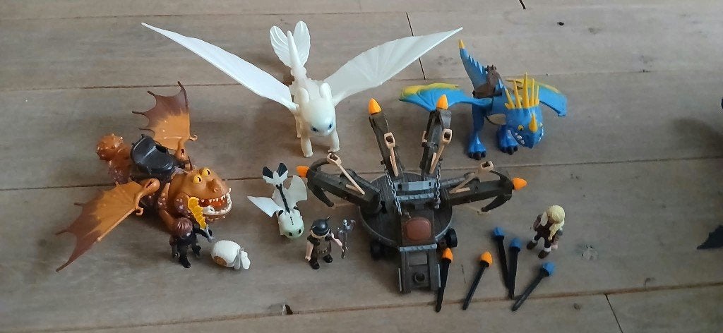 Playmobil set Drakenrijders, Speknek en Stormvlieg, Complete set, Ophalen of Verzenden, Zo goed als nieuw, Dragons
