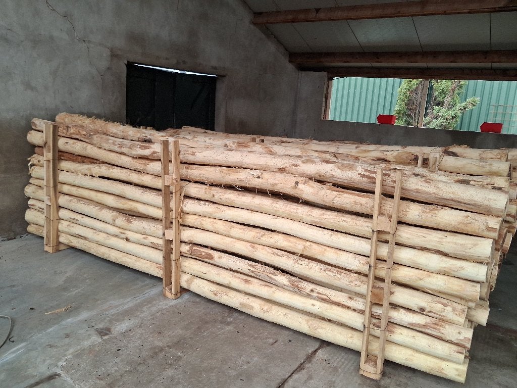 Robiniahouten palen, robinia paal 400cm lang 12-14cm dik, Tuin en Terras, Palen, Balken en Planken, Ophalen, Nieuw, 250 cm of meer