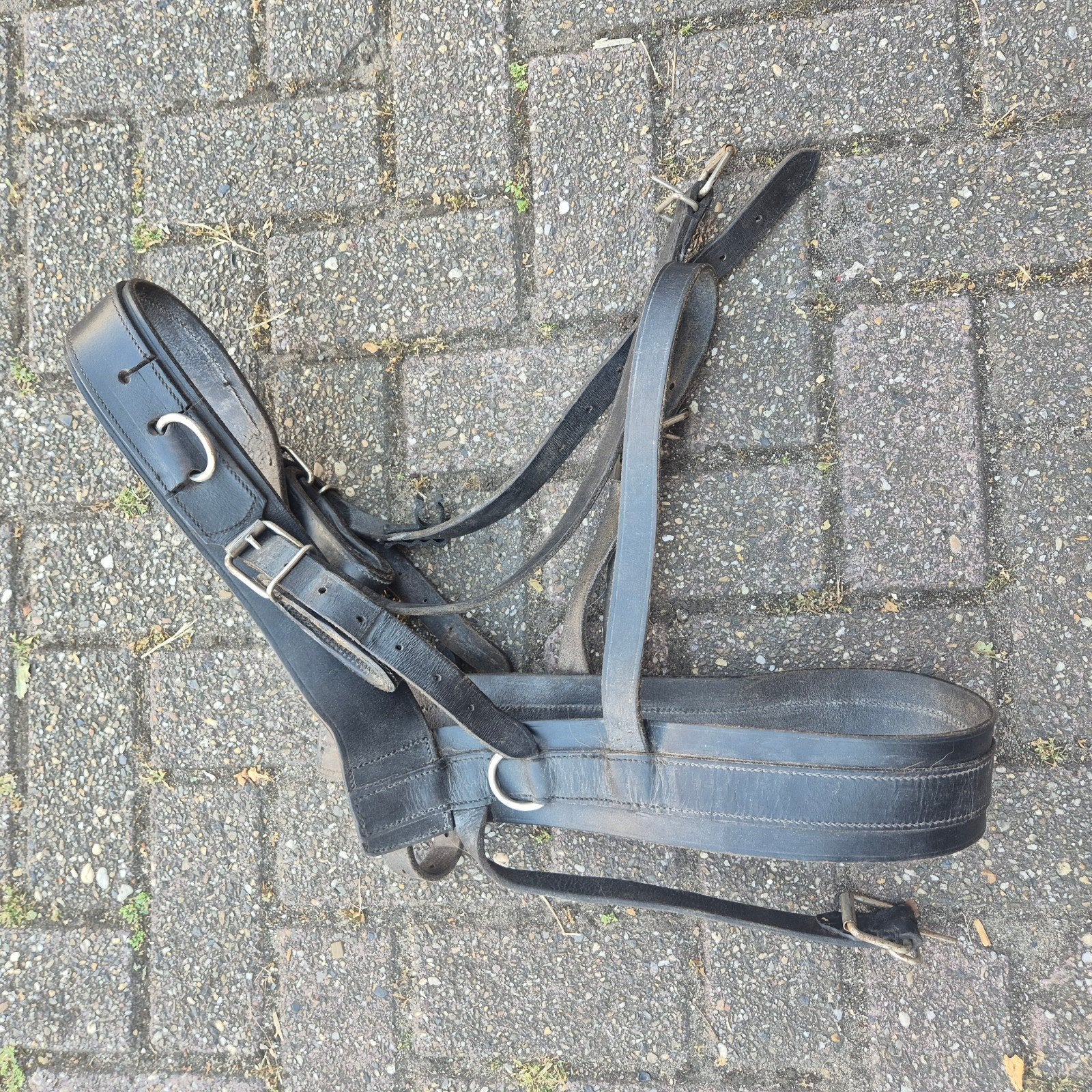 Boerentuig shetlander, Verzenden