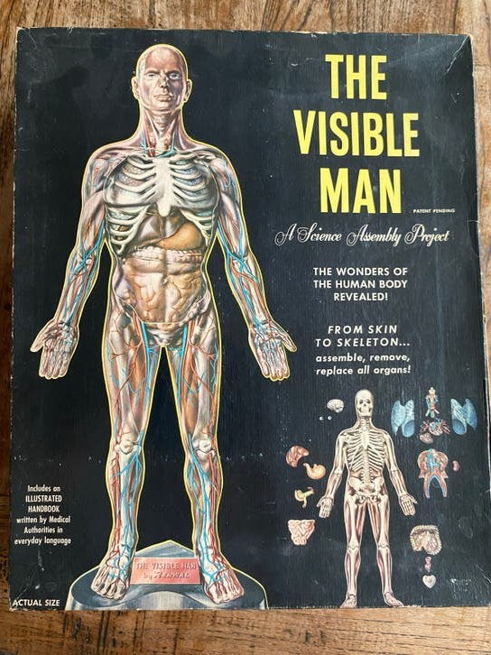 Vintage Renwal The Visible Man Anatomisch Model, 1959, Ophalen of Verzenden