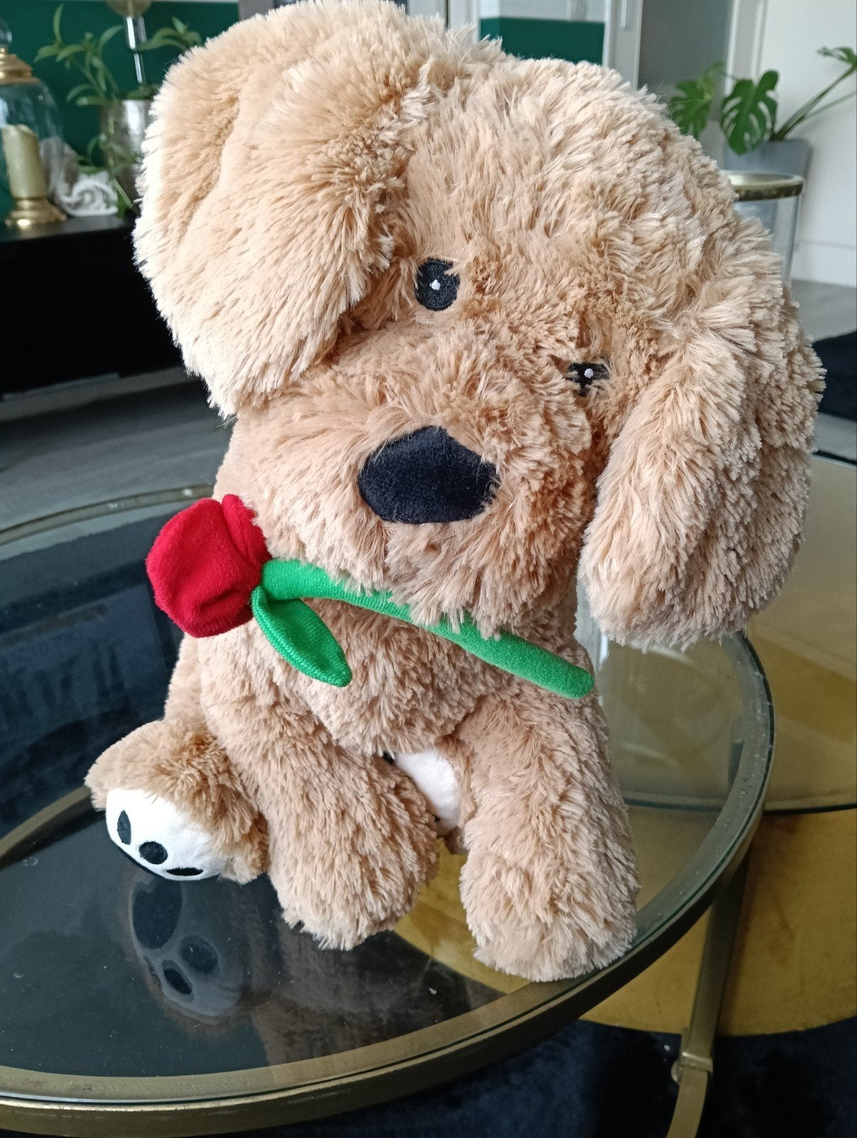 pluch hondje, Overige karakters, Zo goed als nieuw, Middelgroot (20 tot 80 cm), Bruin