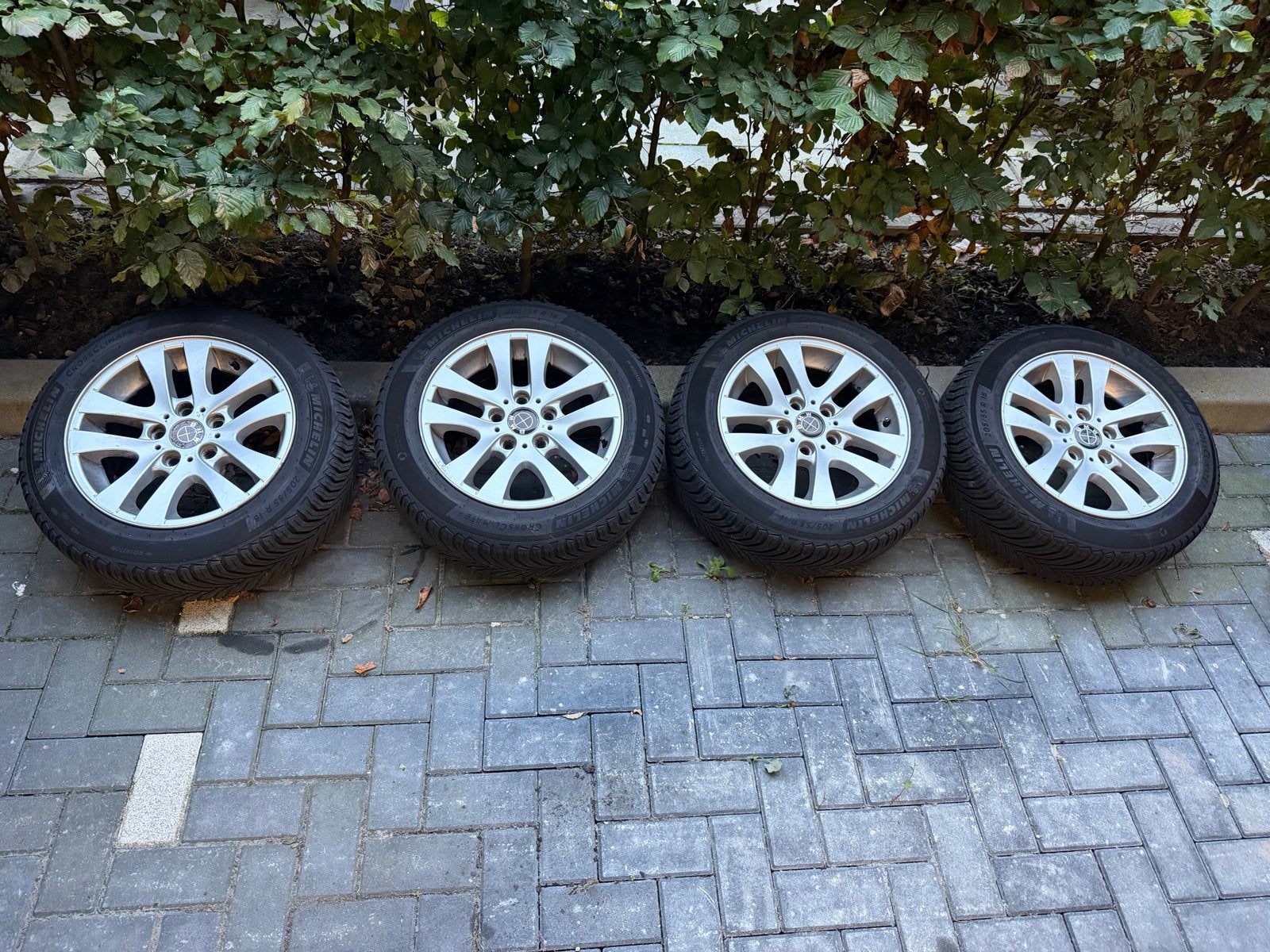 BMW velgen met Michelin CrossClimate banden 205/55 R16, Ophalen, Gebruikt, 16 inch, Banden en Velgen