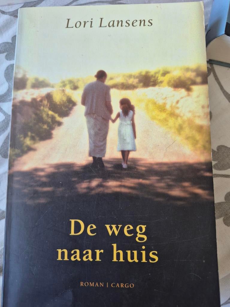 Lori Lansens - De weg naar huis, Ophalen of Verzenden, Zo goed als nieuw, Lori Lansens