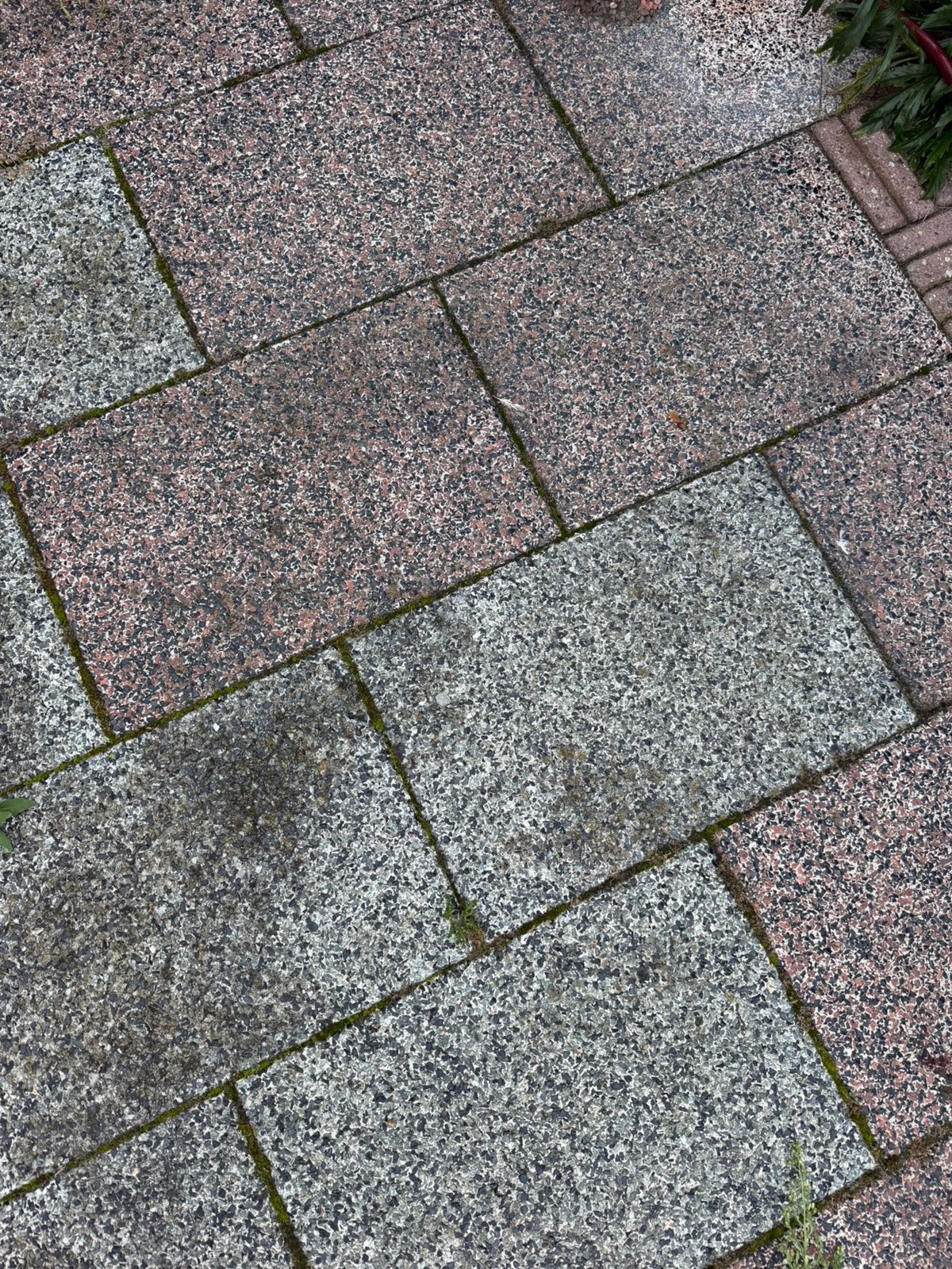 35 m2 terras tegels, Ophalen, Gebruikt, Beton, Terrastegels