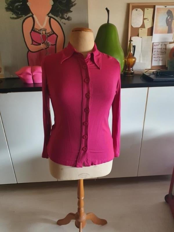 Zgan! Mooie roze blouse van Tante Betsy maat L!, Kleding | Dames, Blouses en Tunieken, Tante Betsy, Verzenden, Maat 42/44 (L)