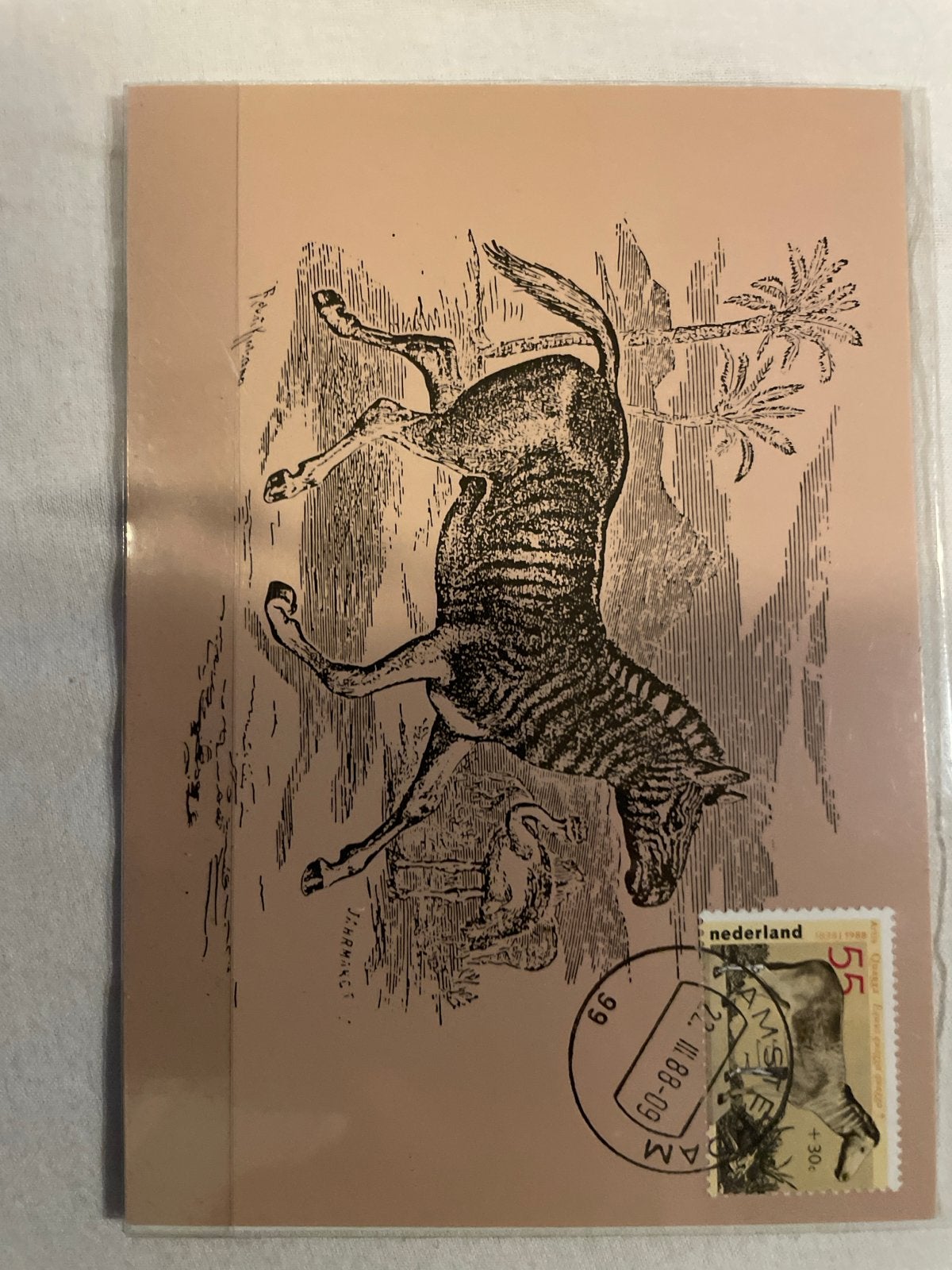 Set van 6 vintage ansichtkaarten met dieren en postzegels, Ophalen of Verzenden, Beschreven, Rest van de wereld