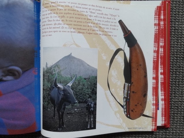 Boek Maasai, l'étoffe rouge, Etienne Van Den Driessche, Antiek en Kunst, Overige typen, Papier/karton, Rood, Afrika
