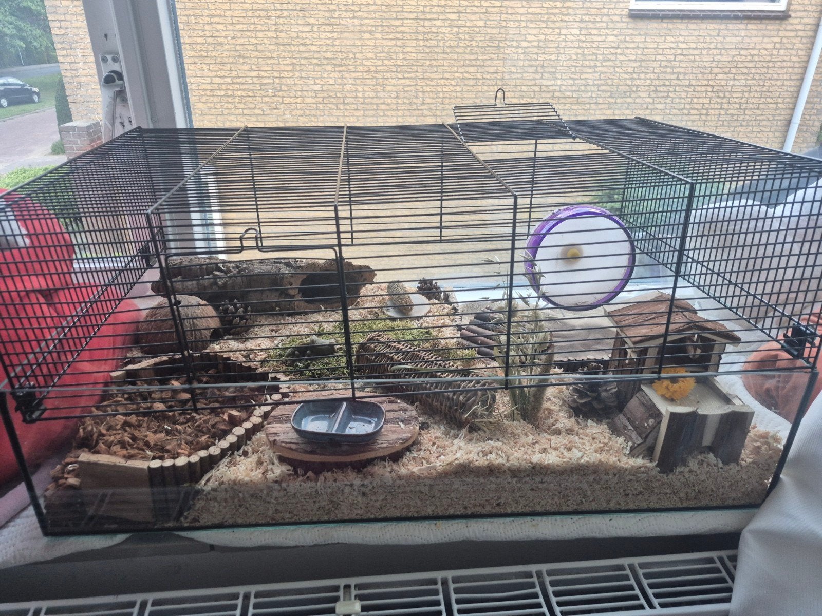 hamster verblijf ingericht, Minder dan 60 cm, Minder dan 75 cm, Ophalen of Verzenden, Hok