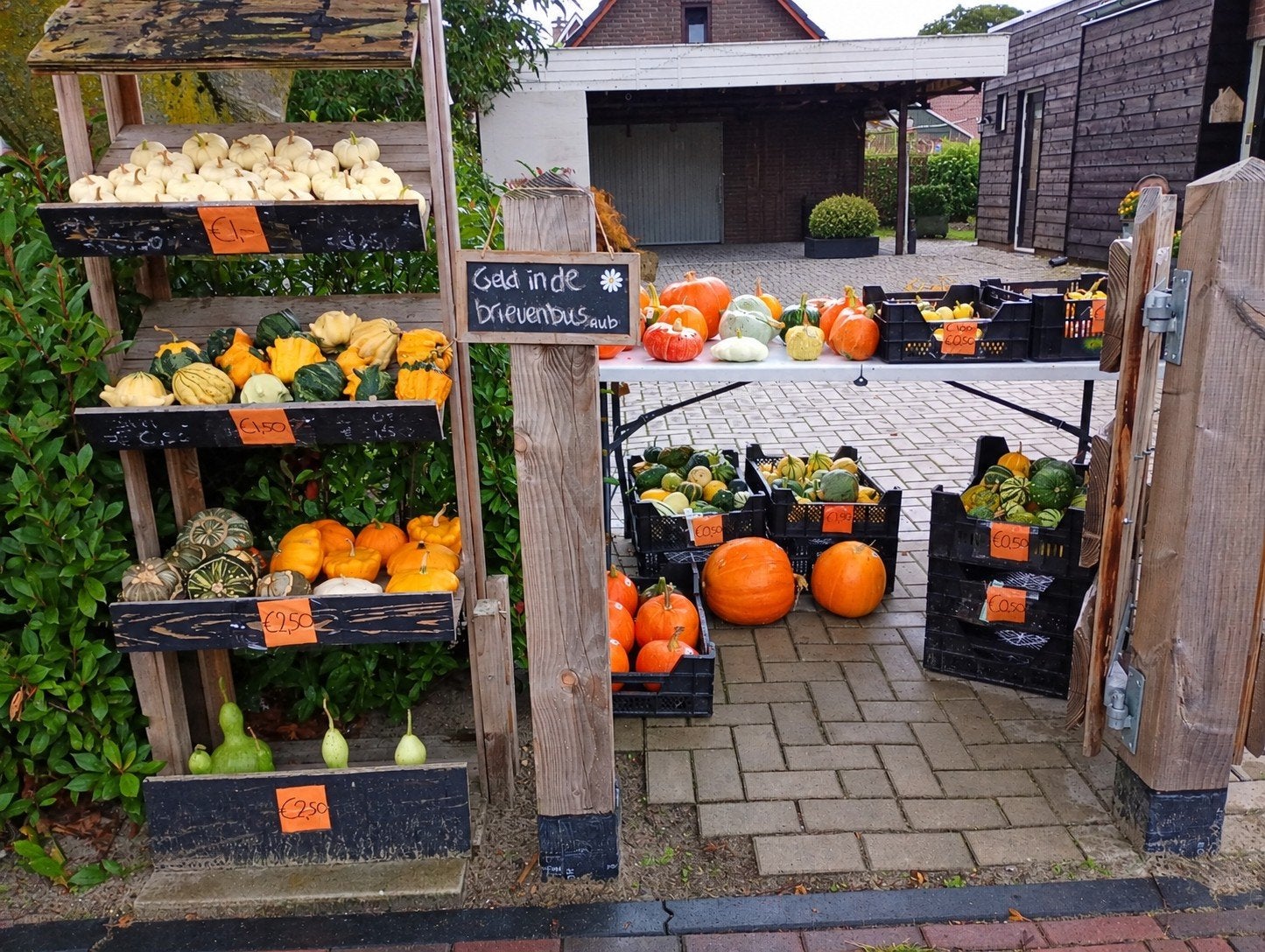 pompoenen en kalebassen, Volle zon, Eenjarig, Herfst, Ophalen