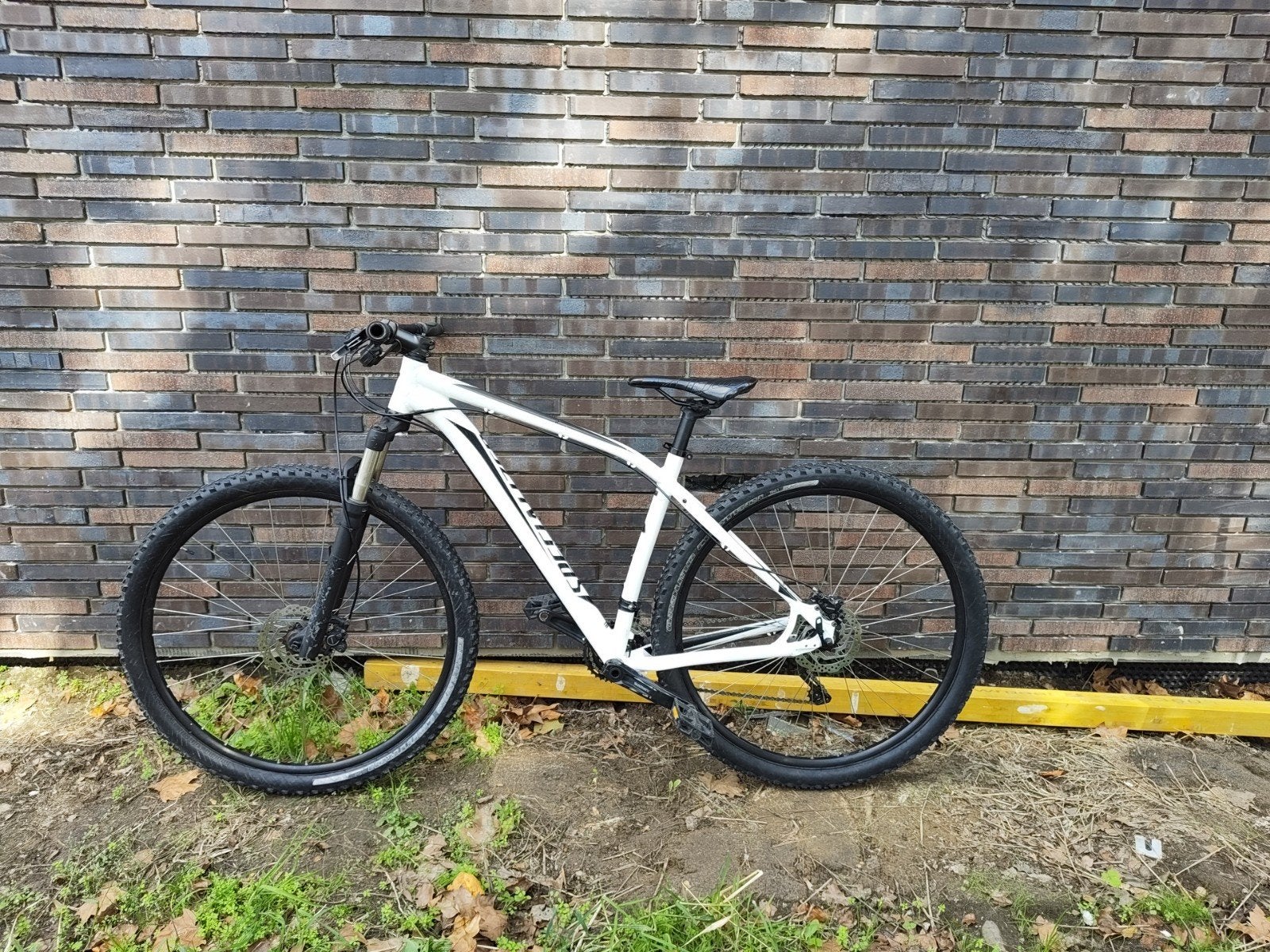Specialized rockhopper Mountainbike, Ophalen