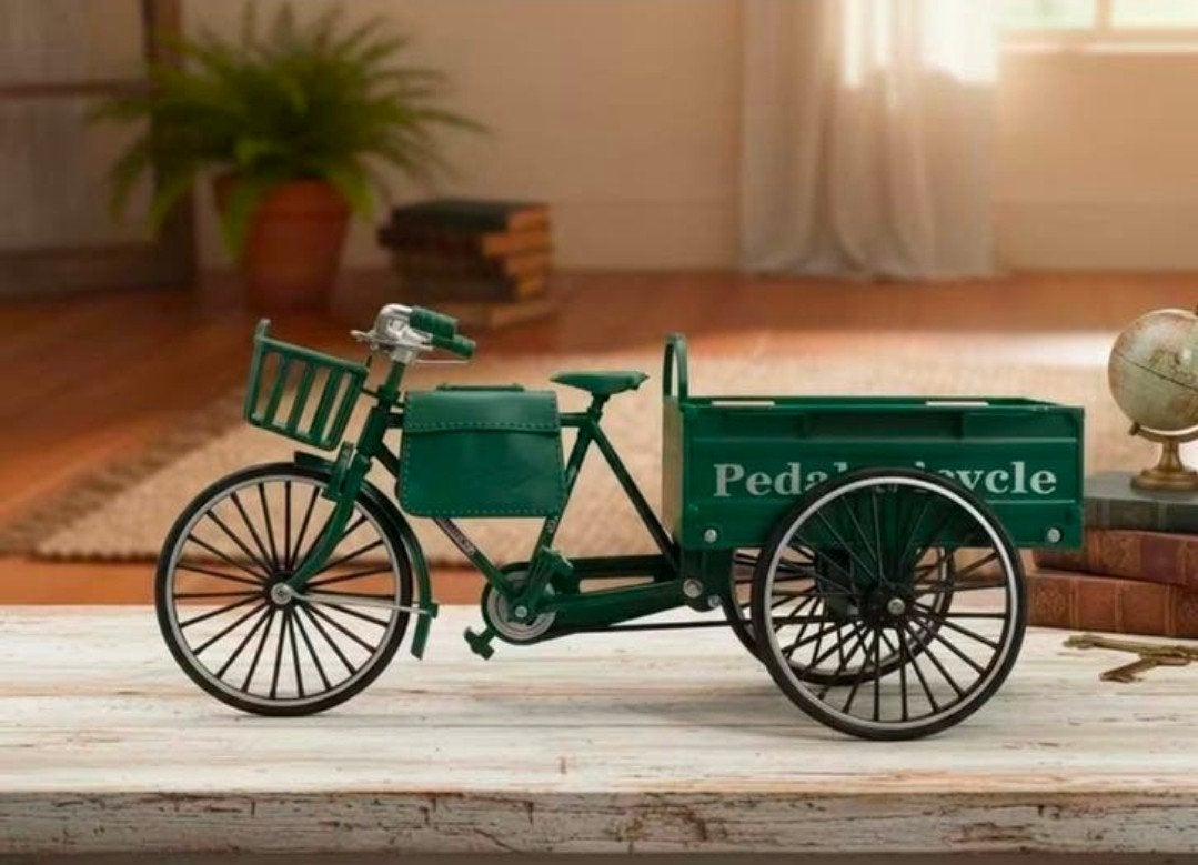 Diy 3 wieler bakfiets modelbouw, Overige merken, Verzenden, Nieuw, Nvt