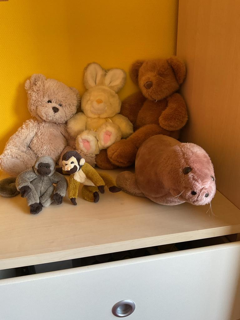 Diverse knuffels: beren, konijn, apen en zeehond, Ophalen of Verzenden, Gebruikt, Beer
