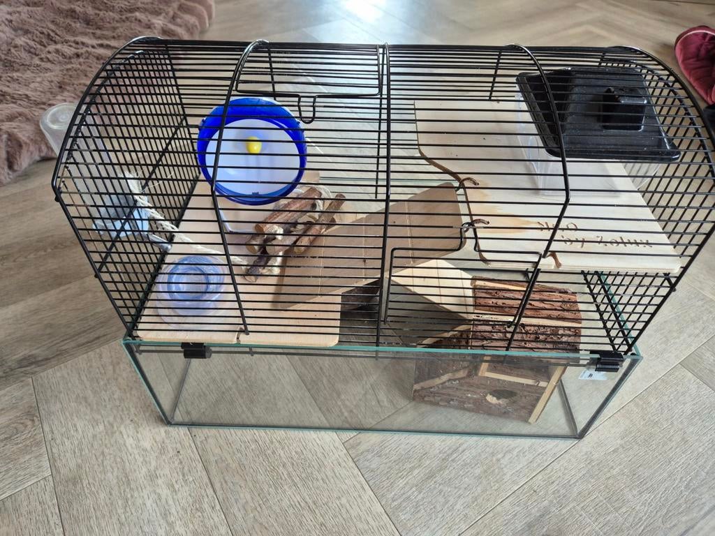 Hamsterkooi met toebehoren, Dieren en Toebehoren, Kooi, Gebruikt, Minder dan 75 cm, Ophalen