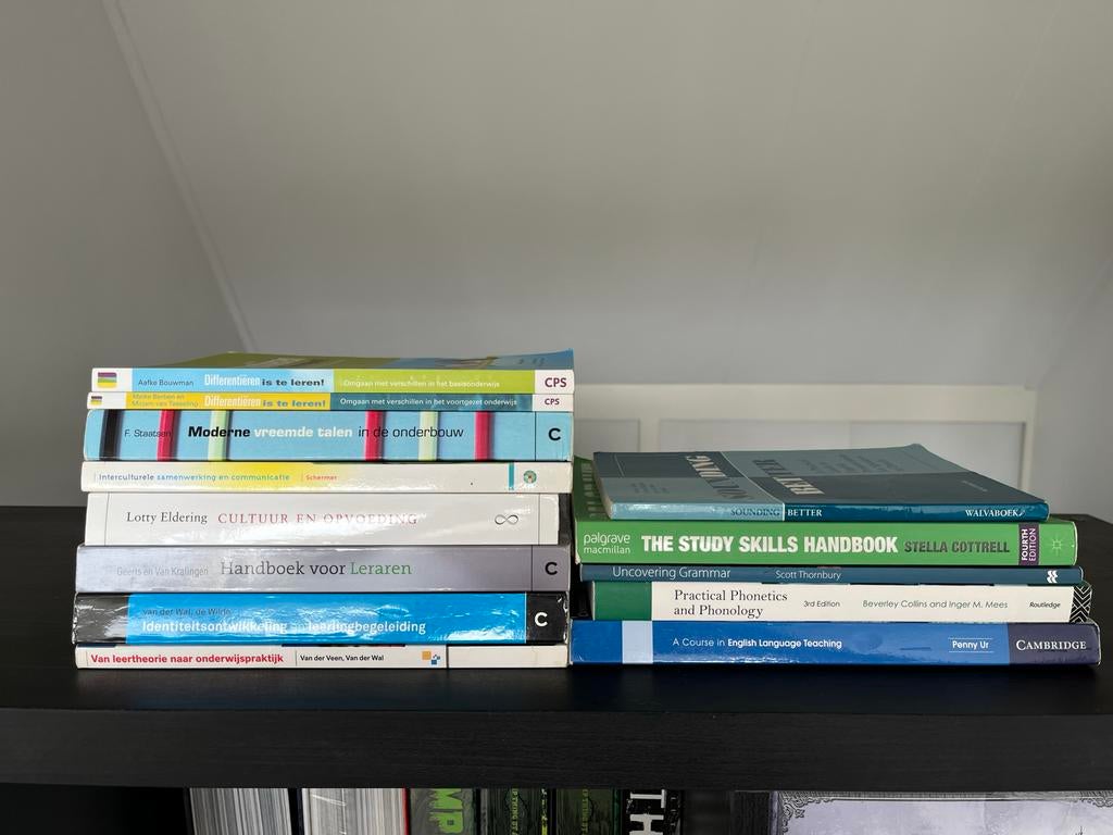 Studieboeken Docent Engels - Spotprijs!, Boeken, Ophalen of Verzenden, Alpha, Gelezen, HBO