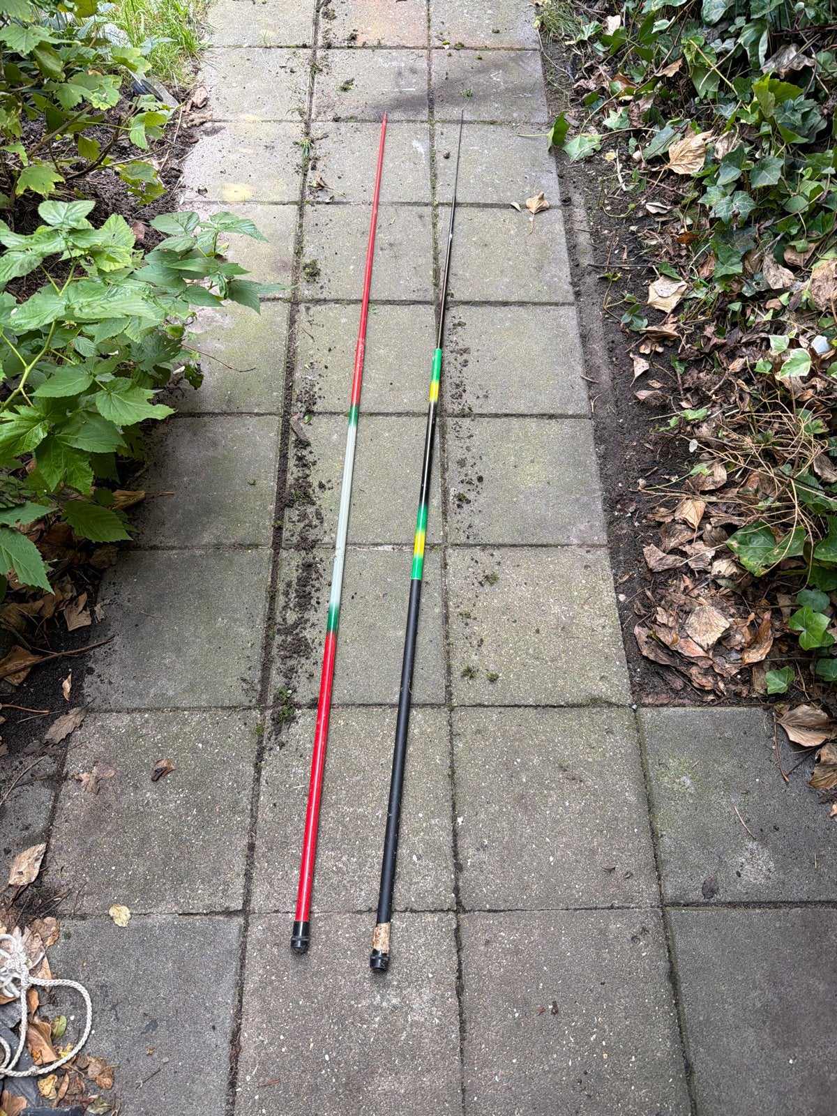 2x Vaste hengel - Vishengel, Watersport en Boten, Ophalen of Verzenden, Gebruikt, Vaste hengel