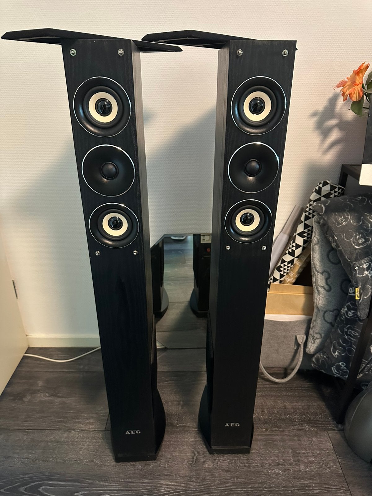 AEG speakers LB 4710, Audio, Tv en Foto, Luidsprekers, Ophalen, Minder dan 60 watt, Overige merken