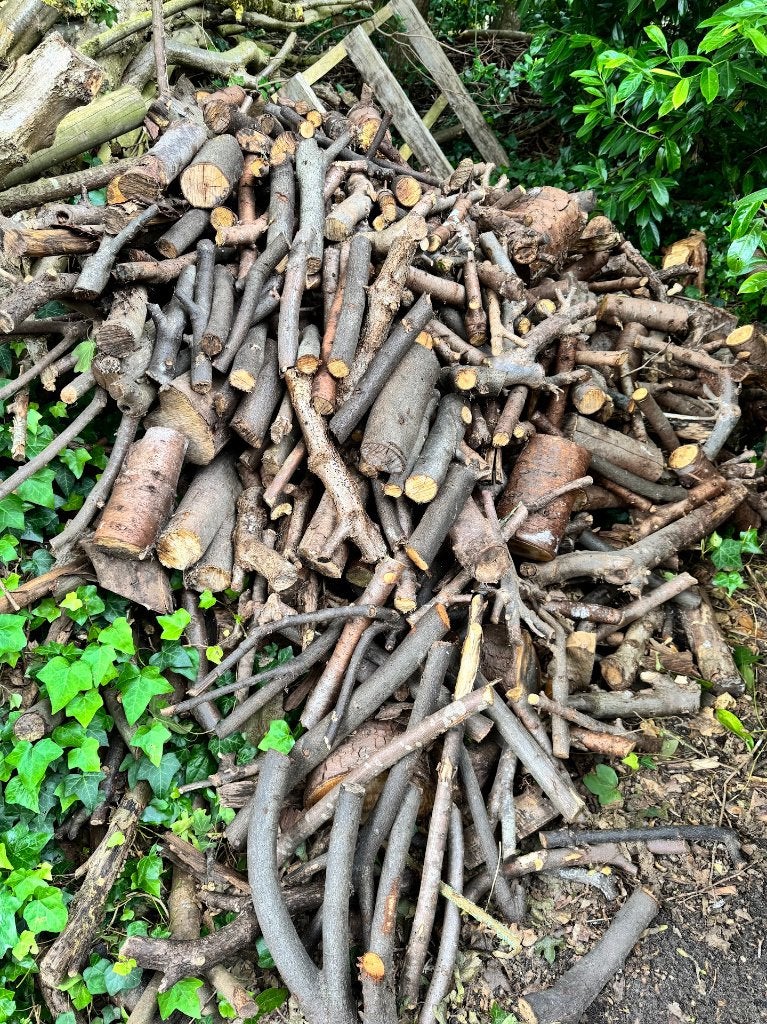 GRATIS haardhout! Haagbeuk, essen, els, berken, douglas, Tuin en Terras, 3 tot 6 m³, Ophalen, Beukenhout, Blokken