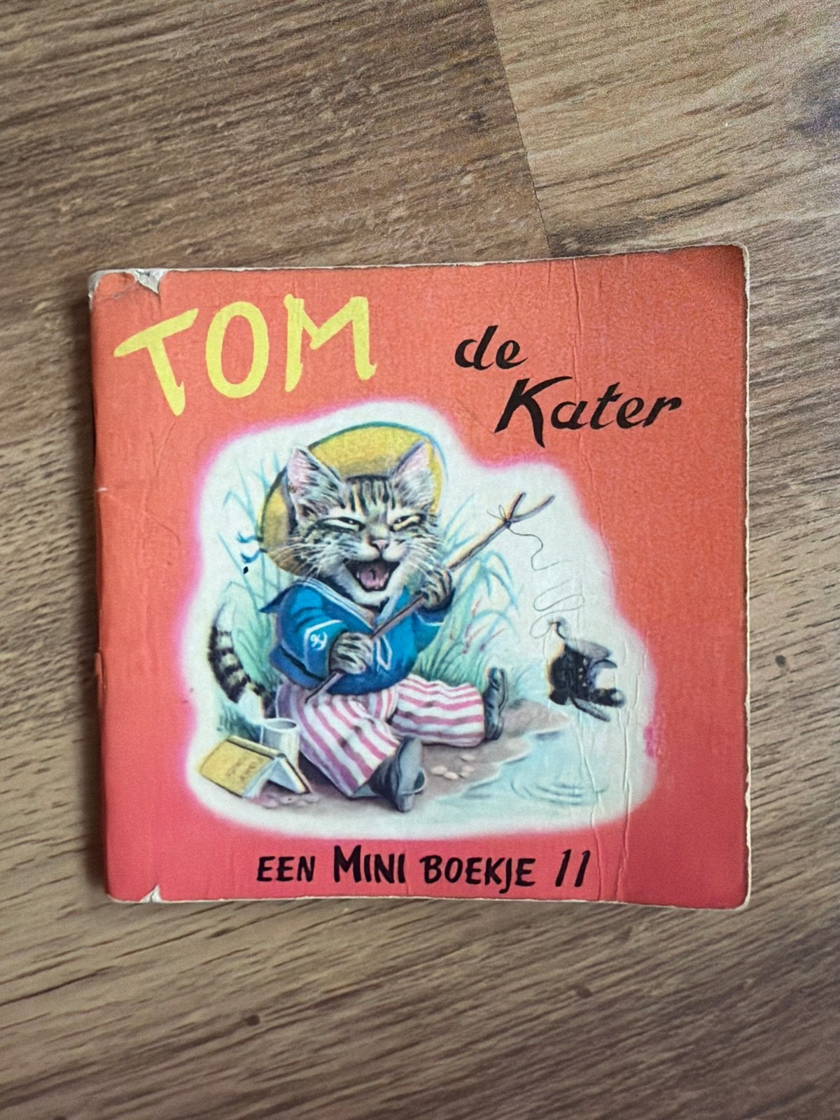 Tom de Kater - Een Mini Boekje 11, Ophalen of Verzenden, Gelezen, Fictie algemeen