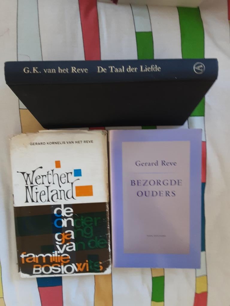 Gerard Reve, Ophalen of Verzenden, Zo goed als nieuw