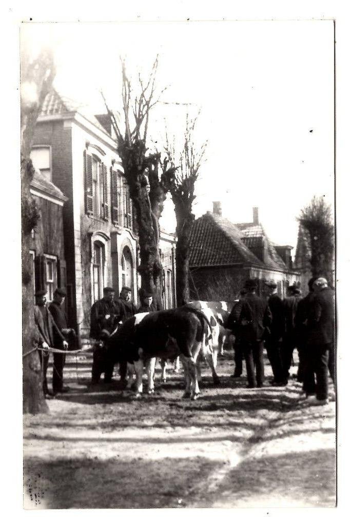Noord Holland Veemarkt , wie weet waar?, Verzenden, Ongelopen, Noord-Holland