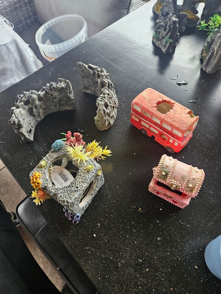 Aquarium decoratie, Ophalen, Zo goed als nieuw