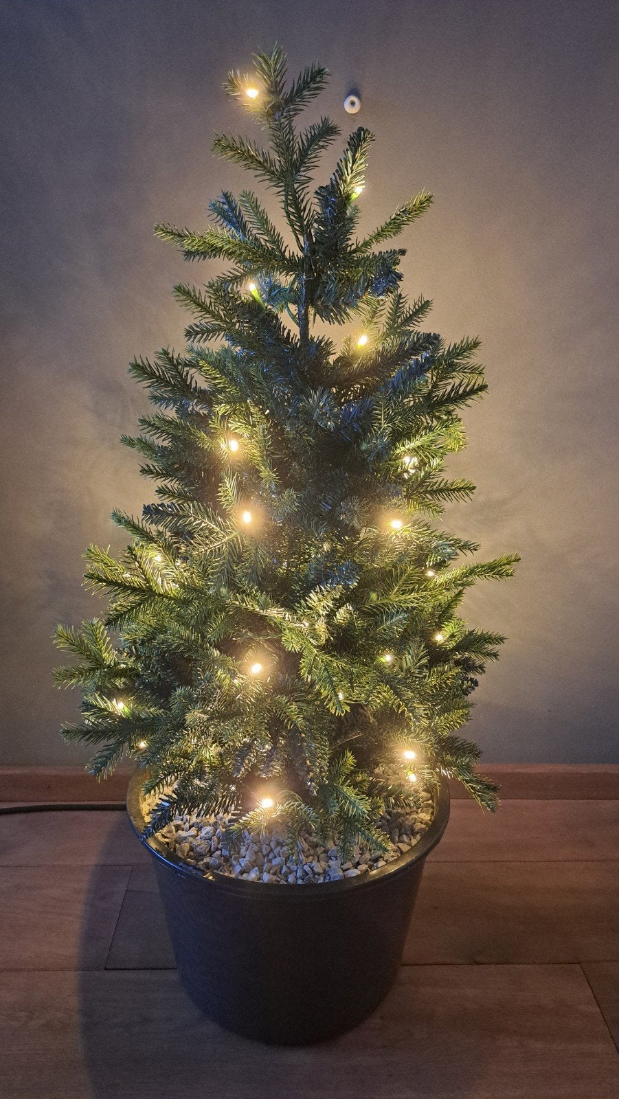 🌲KUNSTBOOM KERSTBOOM IN POT / BETONVOET MET VERLICHTING, Ophalen