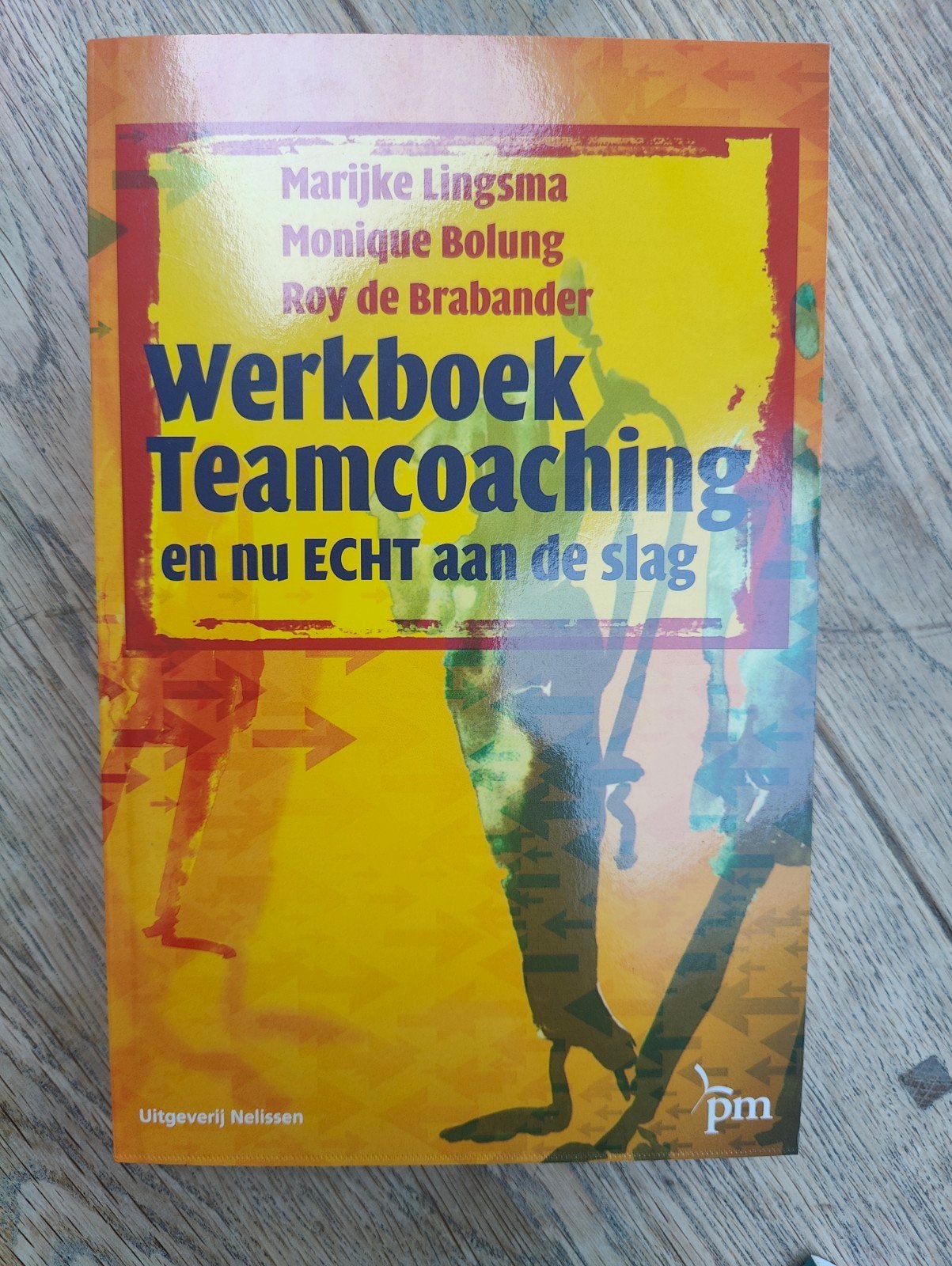 Werkboek Teamcoaching: en nu ECHT aan de slag, Boeken, Zo goed als nieuw, Marijke Lingsma, Monique Bolung, Roy de Brabander, Gamma
