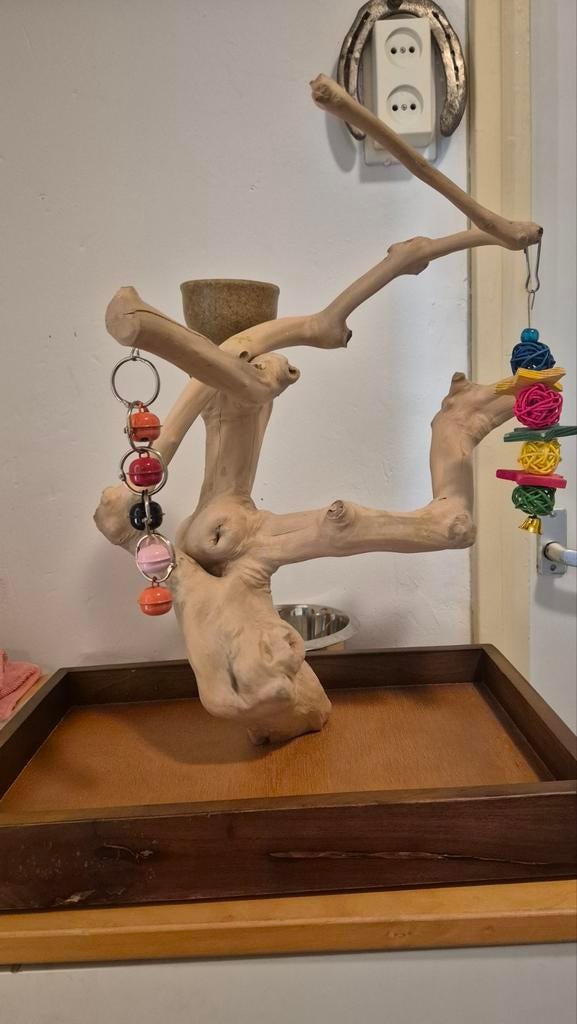Javaboom tafelmodel nieuw, Dieren en Toebehoren, Ophalen, Nieuw, Speelgoed