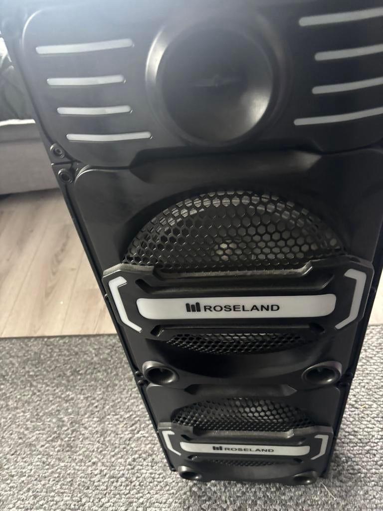 Roseland speaker, Audio, Tv en Foto, Luidsprekers, Overige typen, Zo goed als nieuw, 120 watt of meer, Ophalen