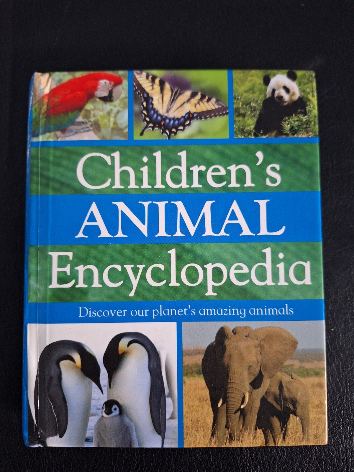 Children's Animal Encyclopedia - Ontdek Dierenrijk, Boeken, Ophalen of Verzenden, Los deel, Dieren, Onbekend