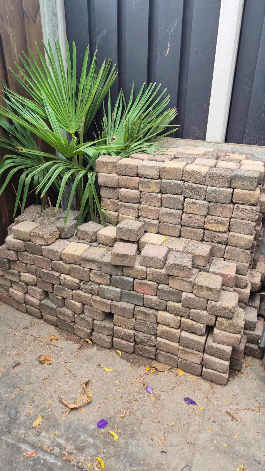 Gratis af te halen: 10x10x6 cm dikke stenen, Ophalen, Gebruikt, Beton, Minder dan 5 m²
