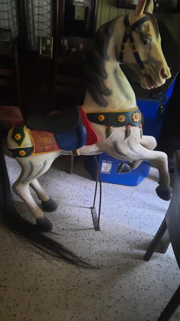Paard, Ophalen of Verzenden, Zo goed als nieuw, Dier