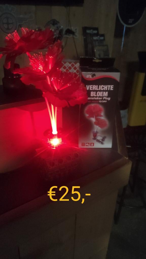 Verlichtings bloem truck, Ophalen of Verzenden, Versiering, Kerst of Sinterklaas