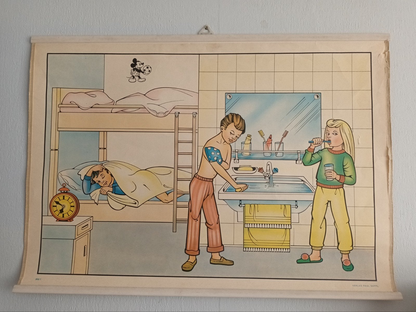 Vintage Schoolplaat - Ochtendrituelen, Ophalen of Verzenden, Natuur en Biologie