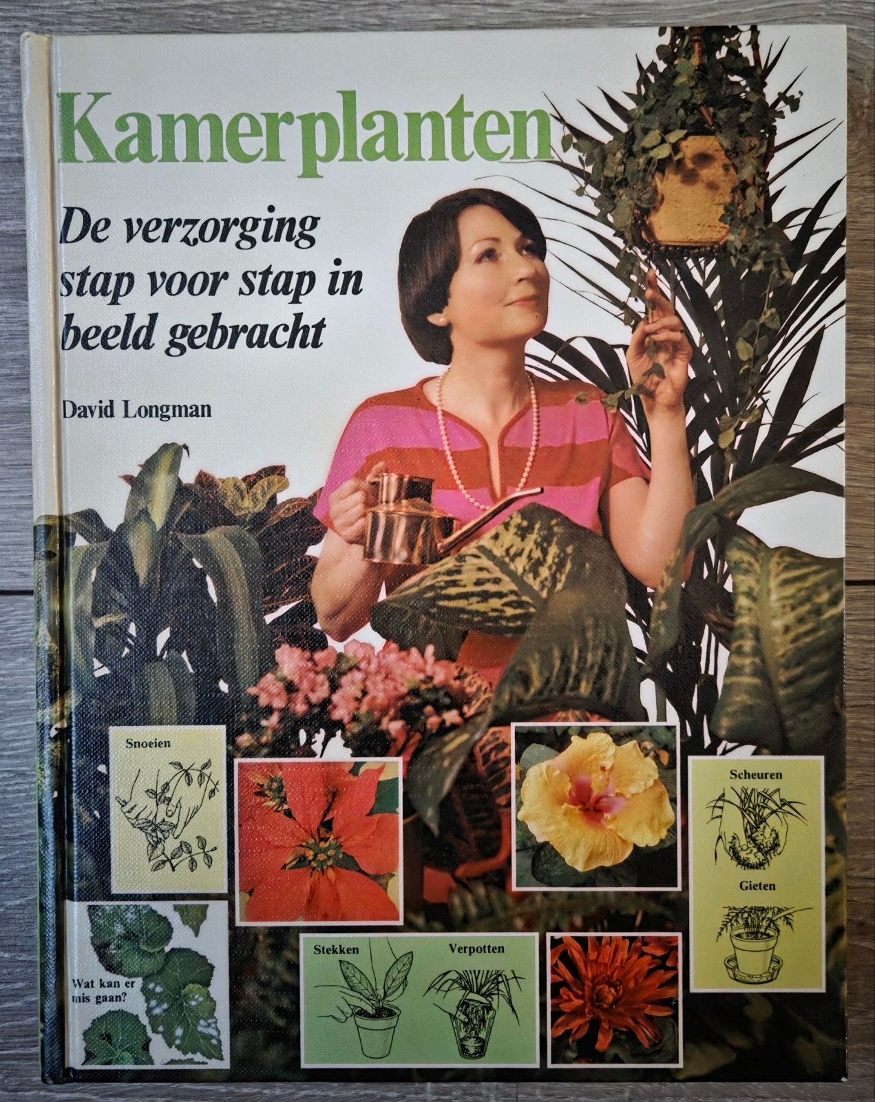 David Longman - Kamerplanten, David Longman, Ophalen of Verzenden, Zo goed als nieuw, Kamerplanten