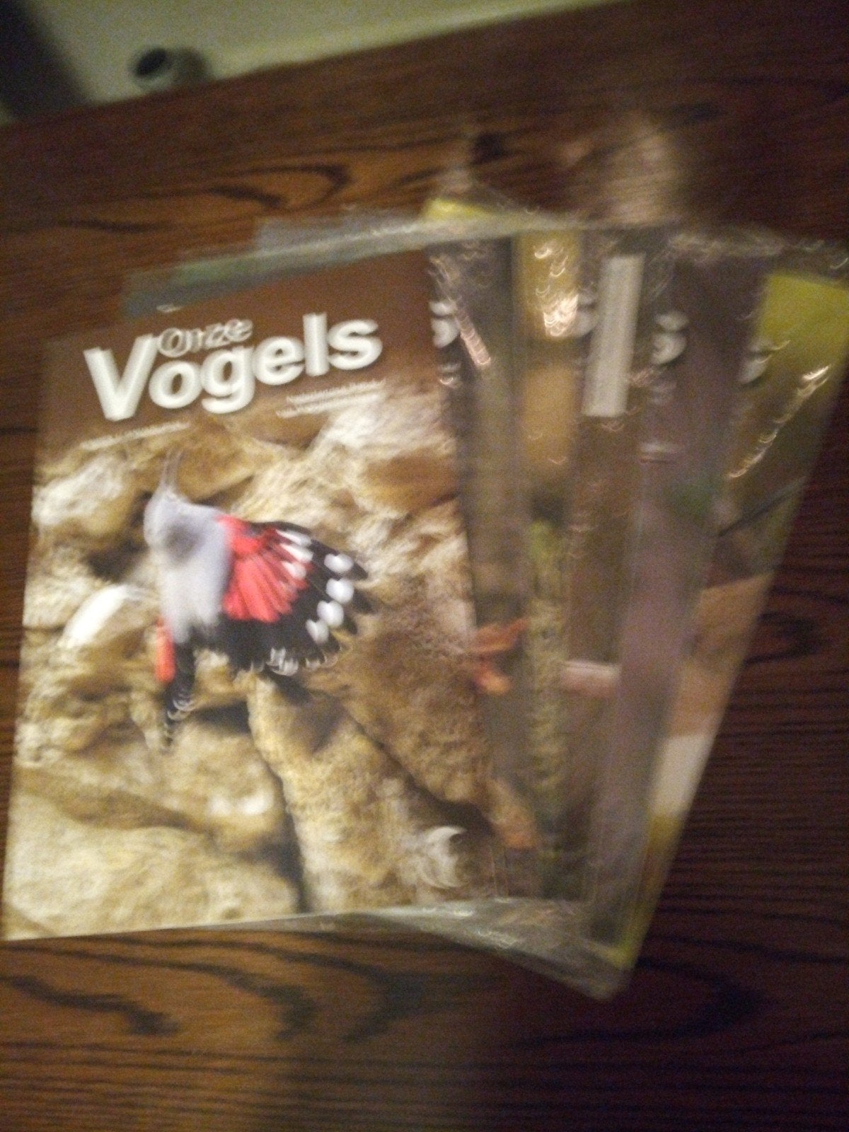Complete Jaargang 2025 "Onze Vogels" van NBvV - Zeer Netjes, Ophalen of Verzenden, Zo goed als nieuw