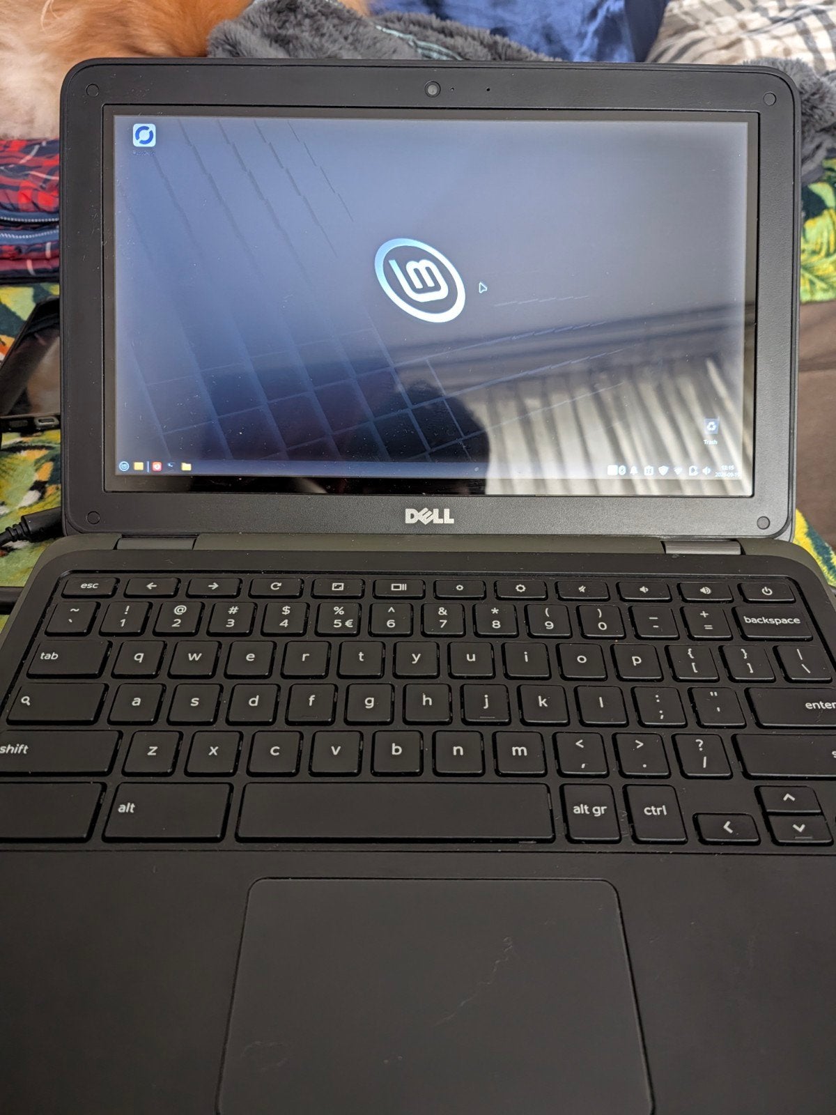 Dell Chromebook 11 3180 - Linux Mint/Fedora - 4GB RAM, Ophalen, Gebruikt, Qwerty, Intel Celeron N3060