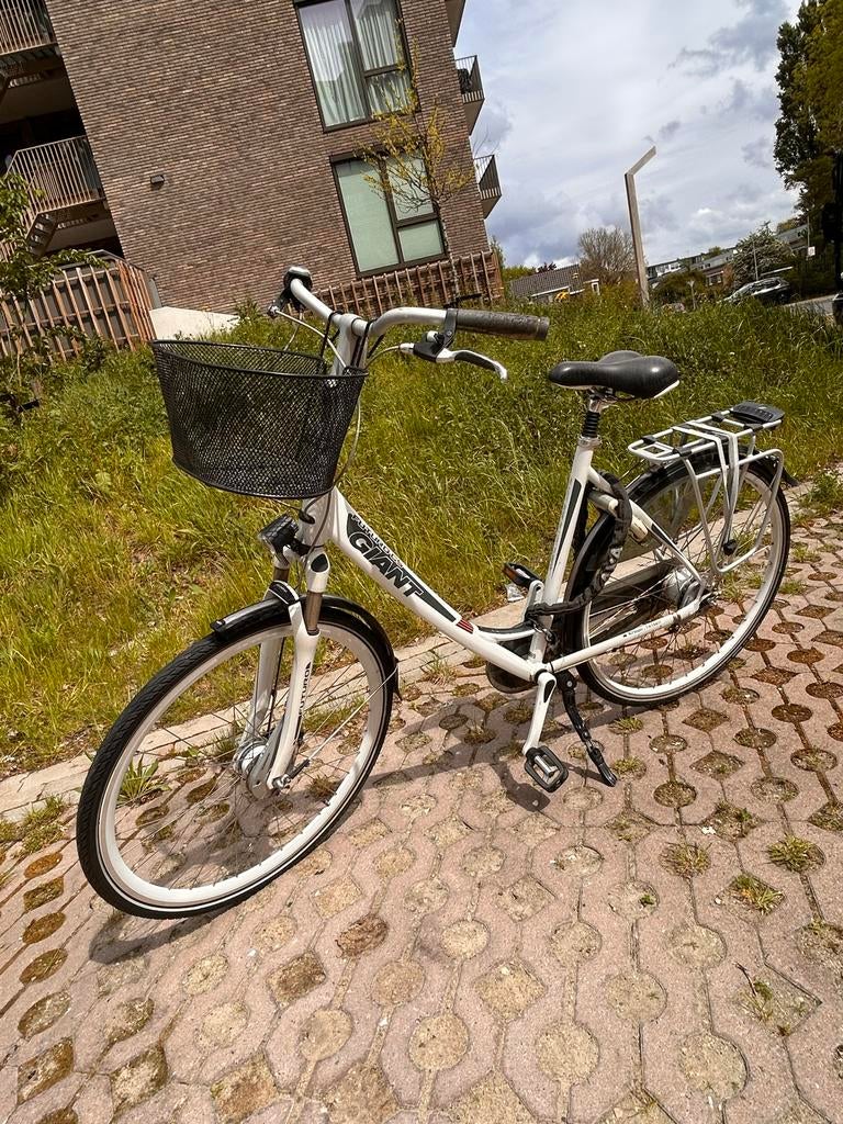 Giant Futuro CS Damesfiets - Maat L, Fietsen en Brommers, Fietsen | Dames | Damesfietsen, Ophalen, Velgrem, Versnellingen, Giant