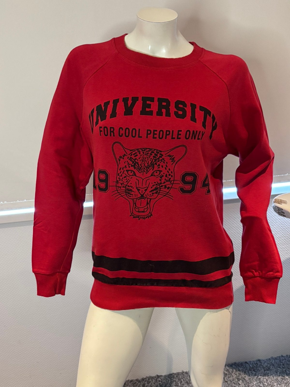 Nikkie sweater maat 38, Kleding | Dames, Maat 38/40 (M), ., Ophalen of Verzenden, Zo goed als nieuw