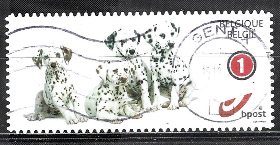 B 213 - Belgie/Duo/Dalmatiers, Verzenden, Overige landen, Gestempeld